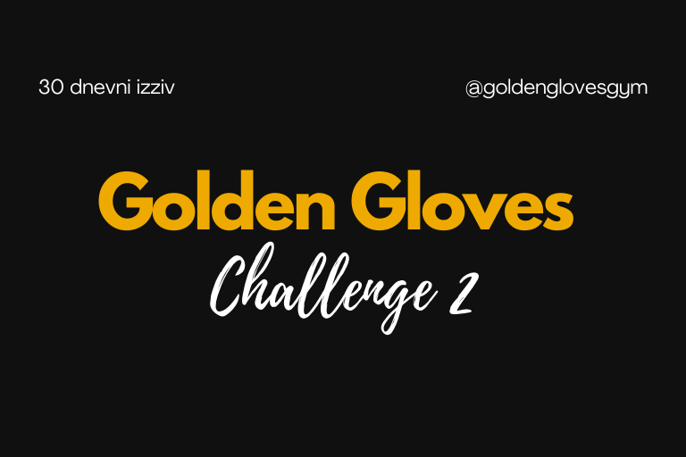 Golden Gloves Challenge 2